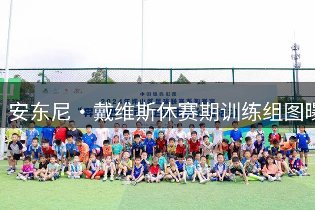 安东尼·戴维斯休赛期训练组图曝光